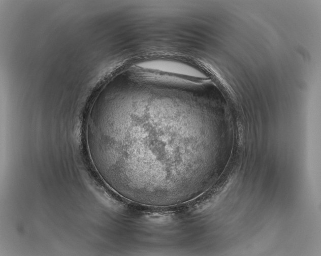 X0000112810447200909041457