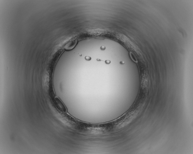 X0000112810448200909041457