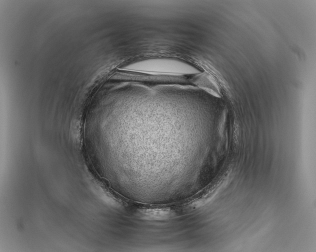 X0000112810449200909041457