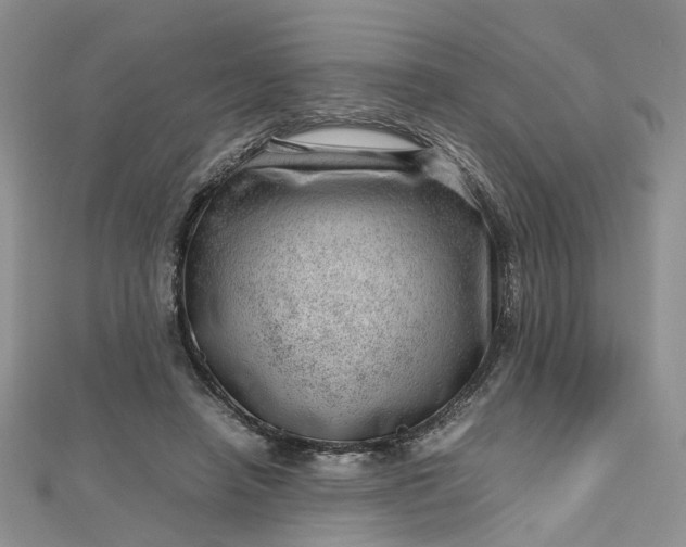 X0000112810450200909041457