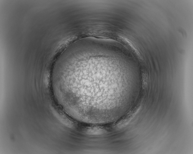 X0000112810451200909041457