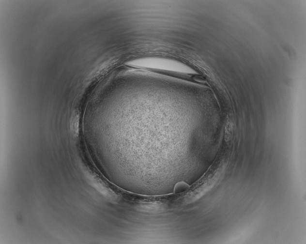 X0000112810454200909041457