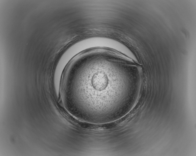 X0000112810456200909041457