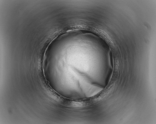 X0000112810457200909041457