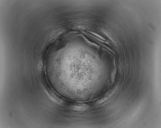 X0000112810459200909041458