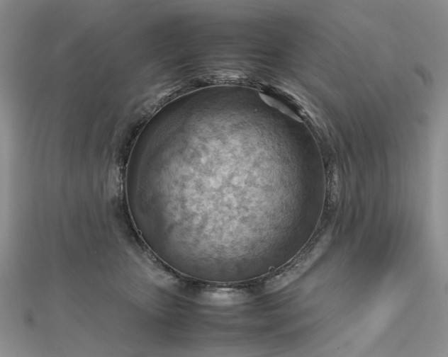 X0000112810467200909041458