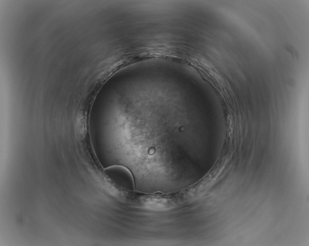 X0000112810471200909041458