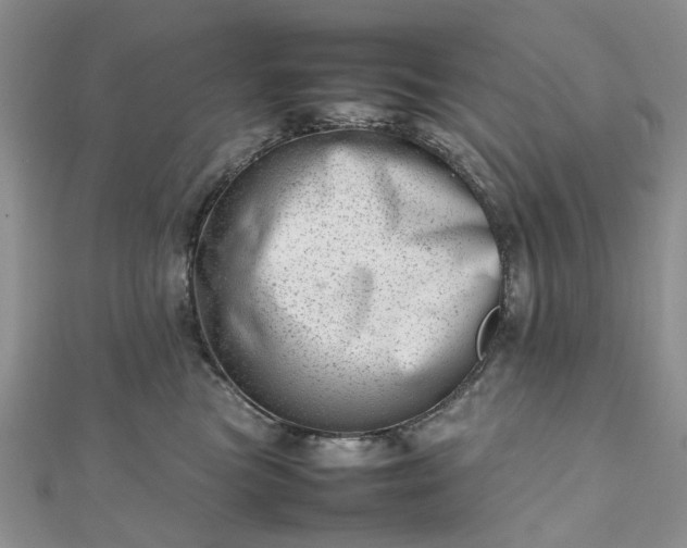 X0000112810473200909041458