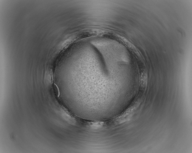 X0000112810474200909041458