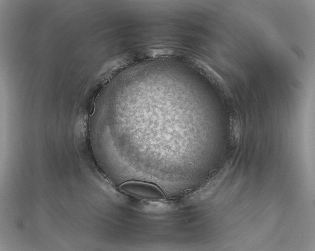 X0000112810475200909041458