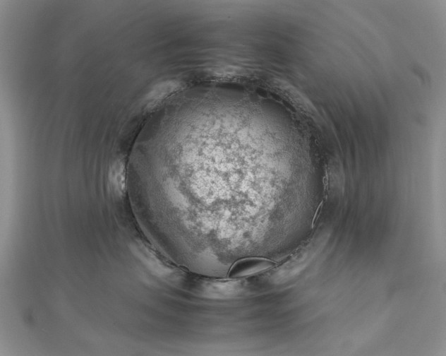 X0000112810479200909041458