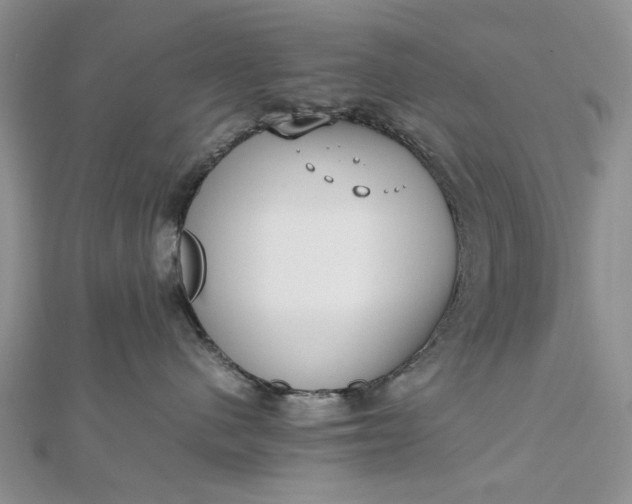 X0000112810480200909041458