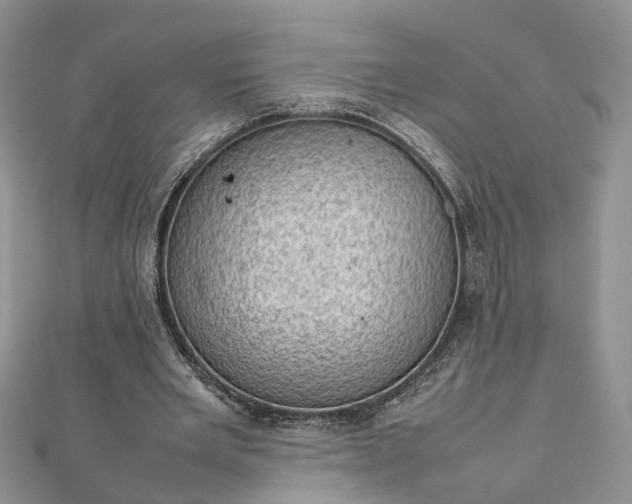 X0000112810485200909041457