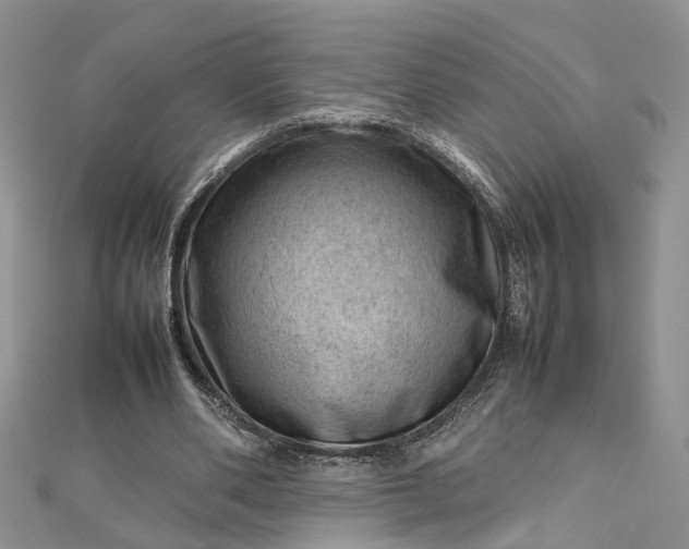 X0000112810486200909041457