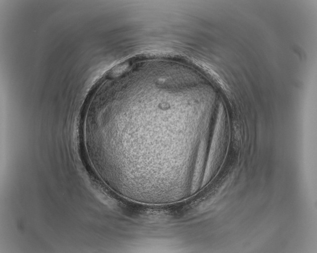 X0000112810487200909041457