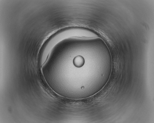 X0000112810488200909041457