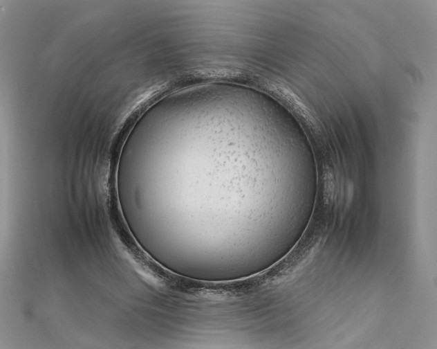 X0000112810490200909041457