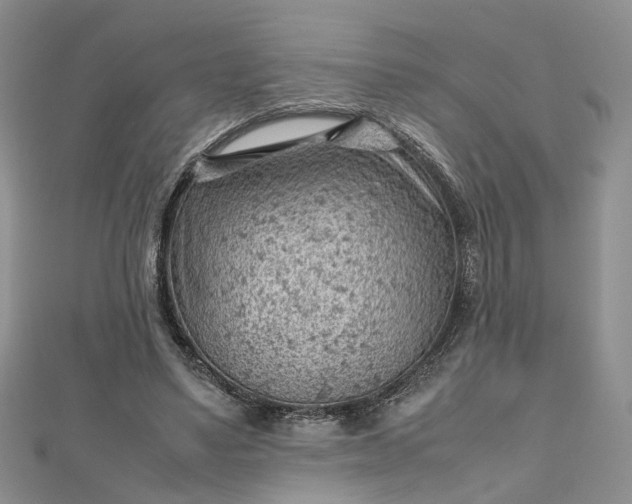 X0000112810491200909041457