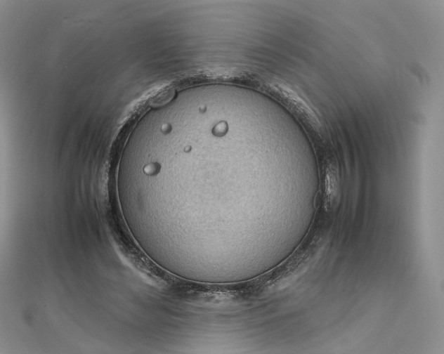 X0000112810492200909041457