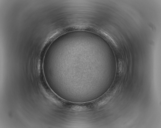 X0000112810494200909041457