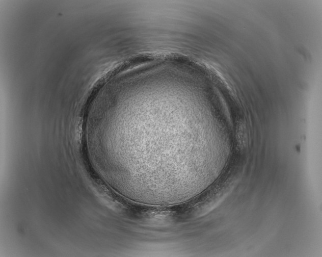 X0000112810495200909041457