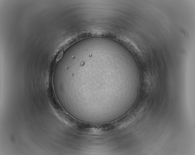 X0000112810496200909041457