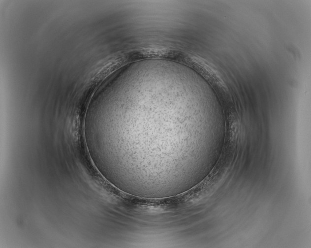 X0000112810498200909041457