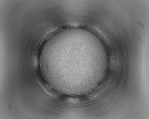 X0000112810500200909041457