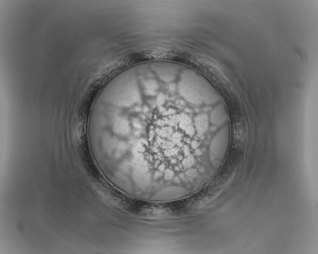 X0000112810503200909041457