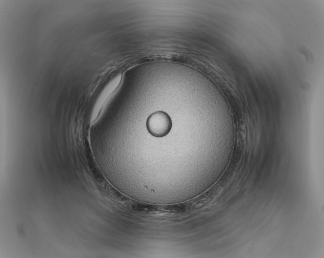 X0000112810504200909041457