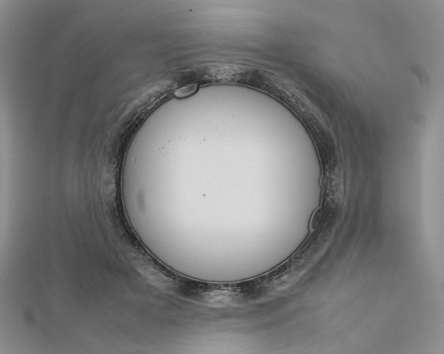 X0000112810505200909041457