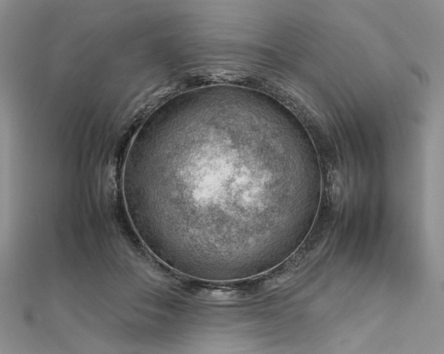 X0000112810506200909041457