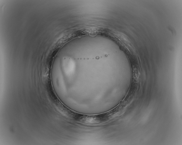 X0000112810507200909041457