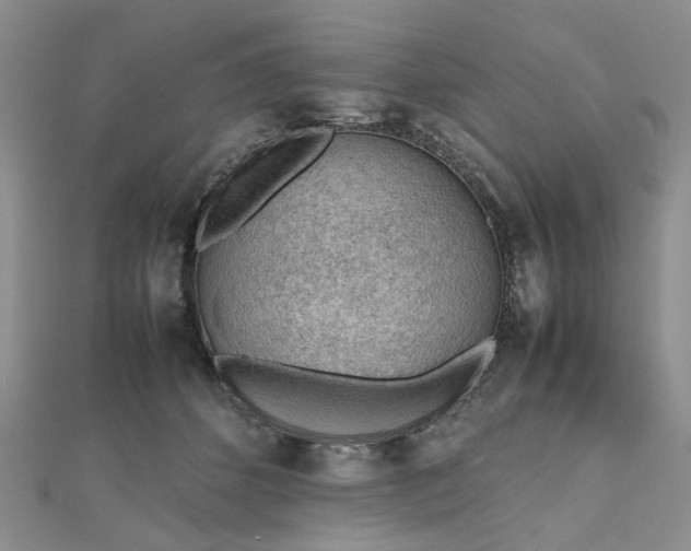 X0000112810512200909041457