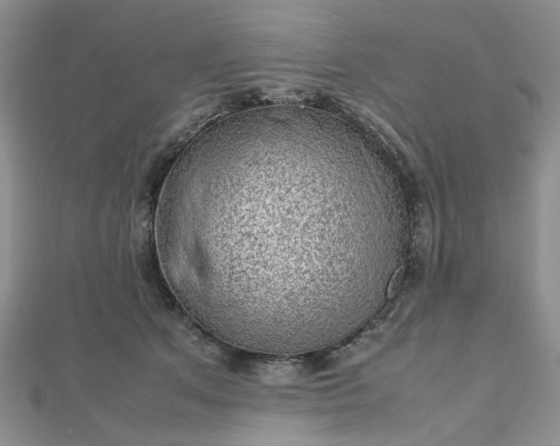 X0000112810513200909041457