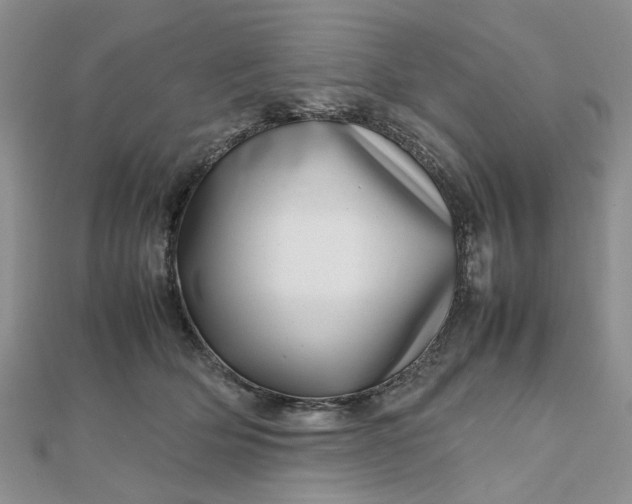 X0000112810514200909041457