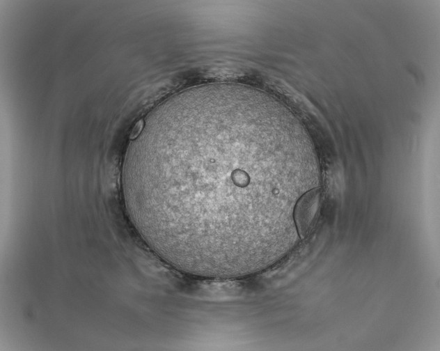 X0000112810517200909041457