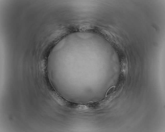 X0000112810519200909041457