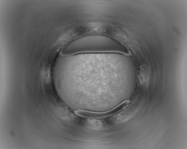 X0000112810520200909041457