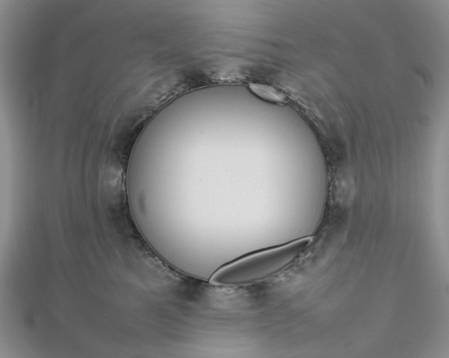 X0000112810521200909041456