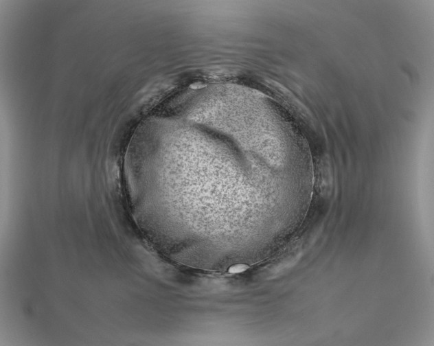 X0000112810523200909041456