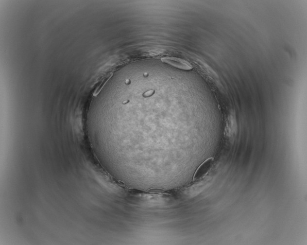 X0000112810524200909041456