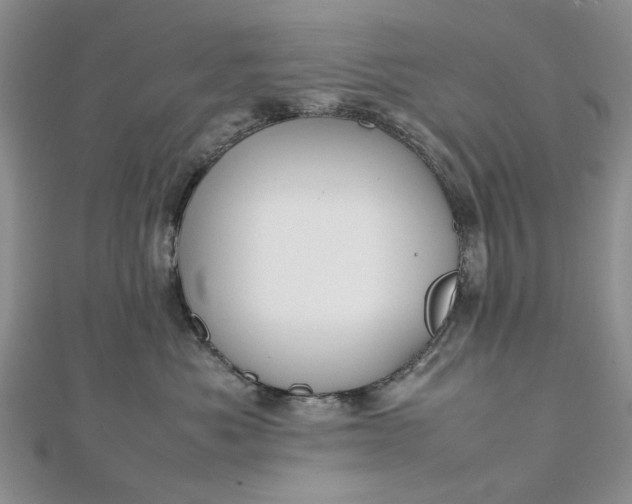 X0000112810525200909041456