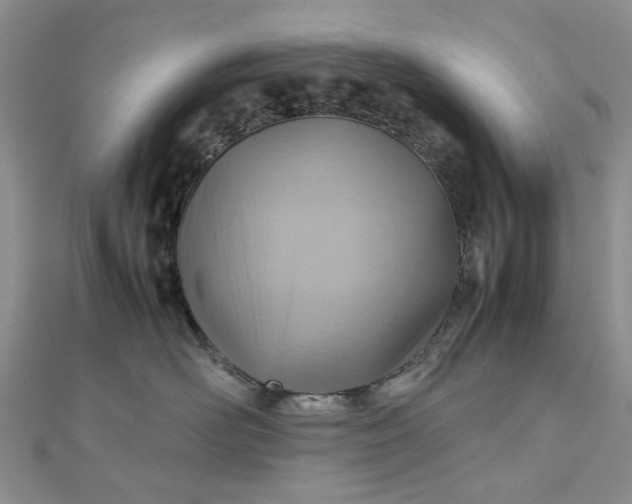 X0000112810526200909041456