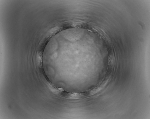 X0000112810527200909041456