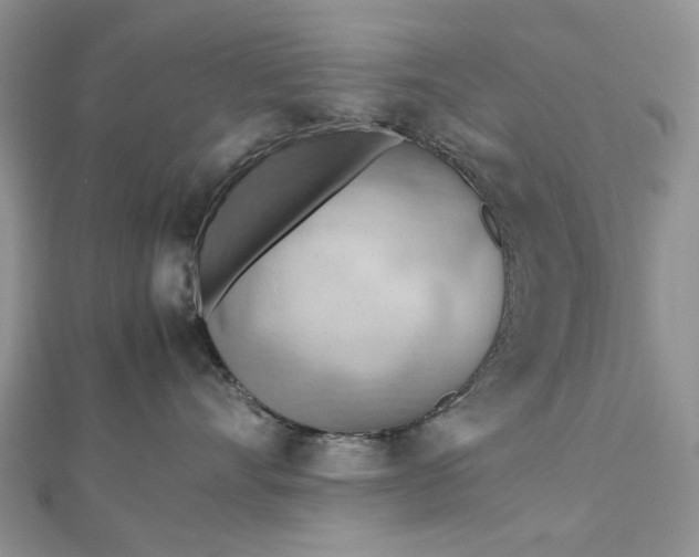 X0000112810528200909041456