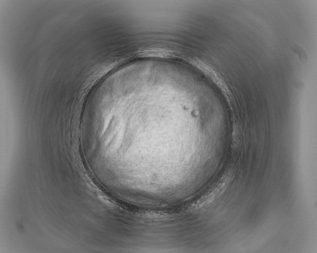 X0000112810529200909041456