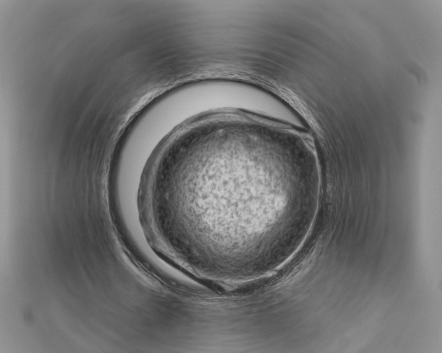 X0000112810530200909041456