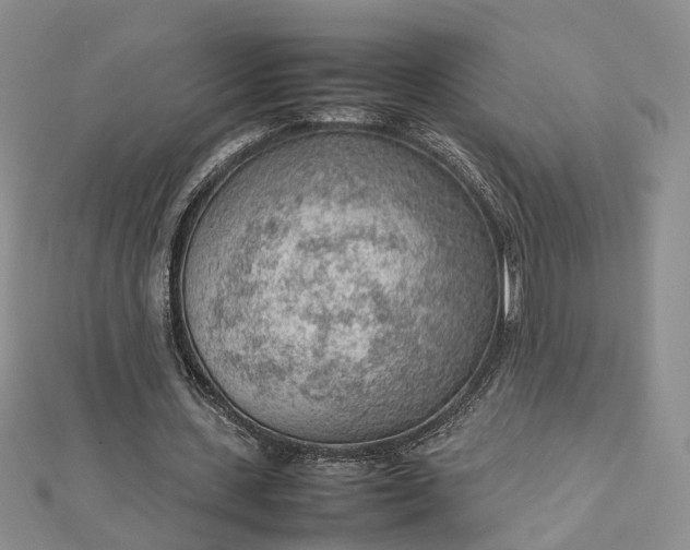 X0000112810531200909041456