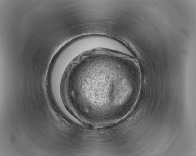 X0000112810532200909041456